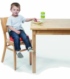 OXO Tot Perch Portable Booster Chair With Straps - Orange -Babyzen || Stokke || CHICCO Sales oxo tot perch portable booster chair with straps orange 46